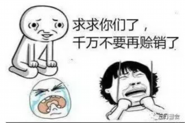 沛县融资清欠服务